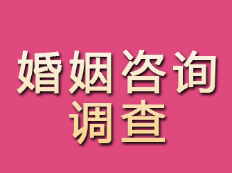 谢家集婚姻咨询调查